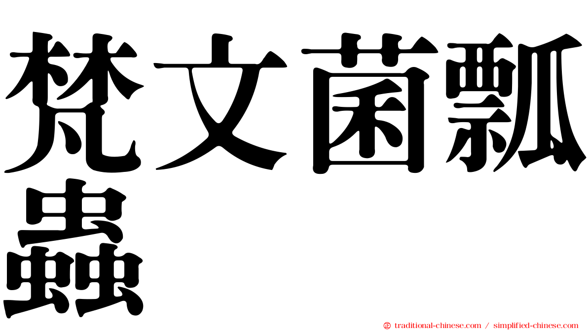 梵文菌瓢蟲