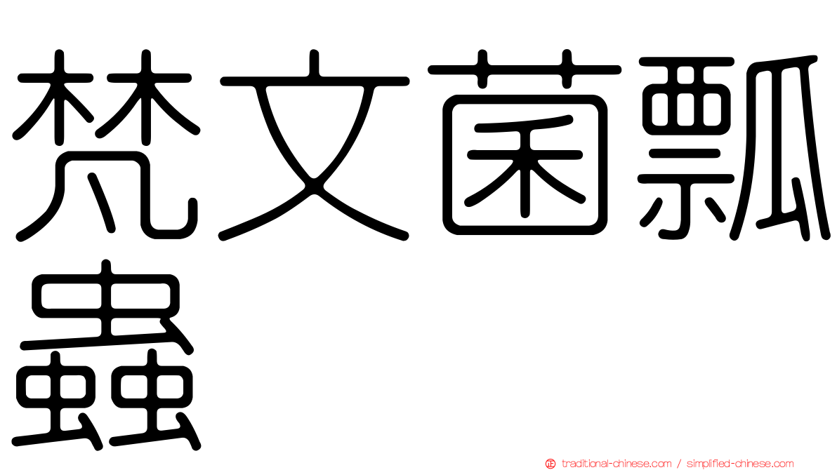 梵文菌瓢蟲