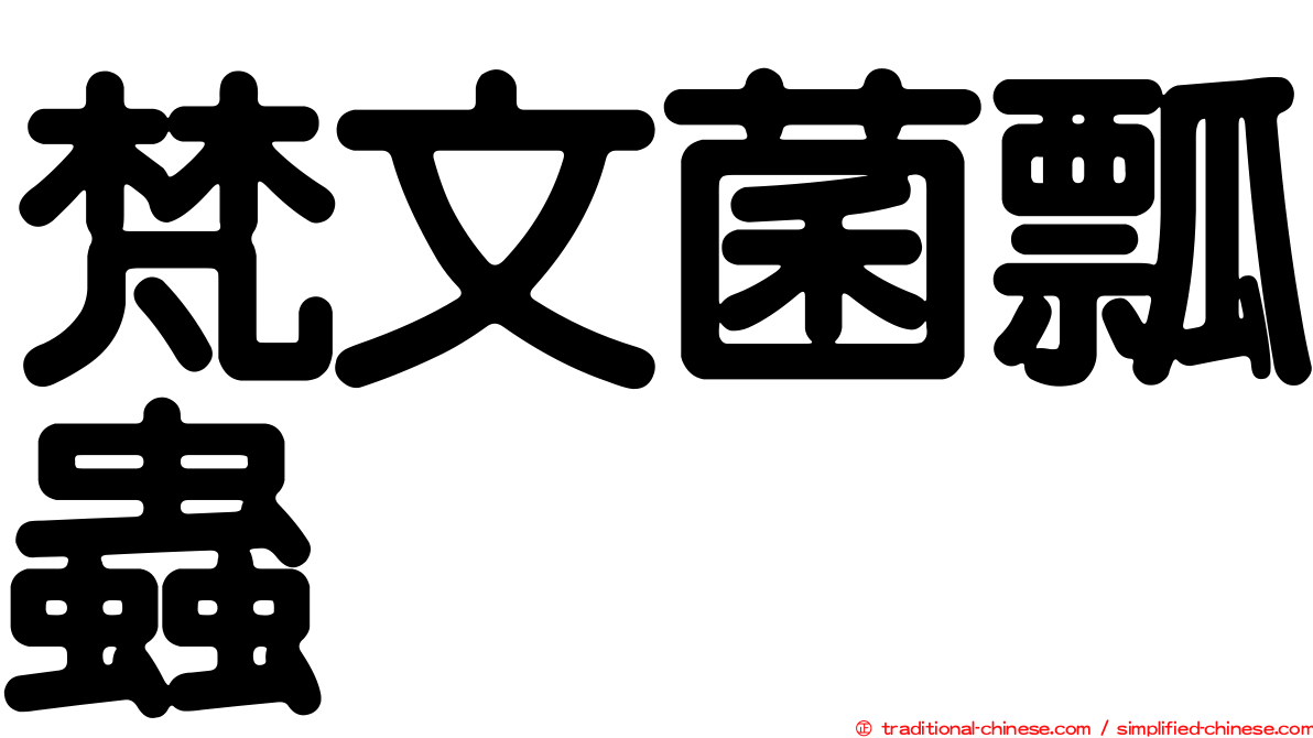 梵文菌瓢蟲