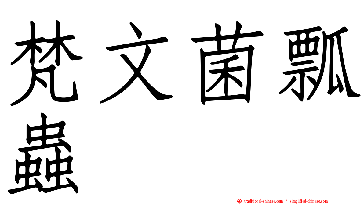 梵文菌瓢蟲