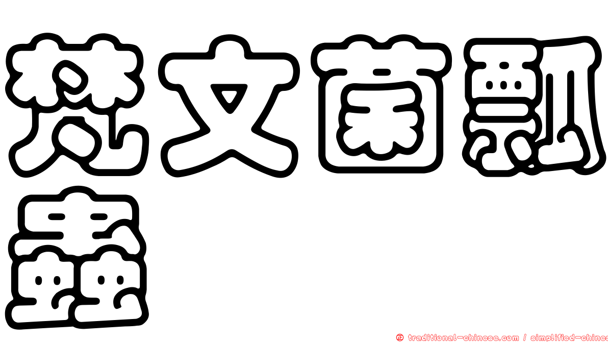 梵文菌瓢蟲