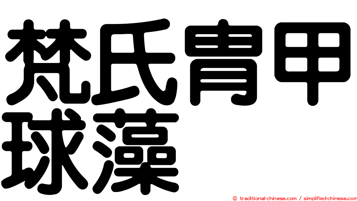 梵氏冑甲球藻