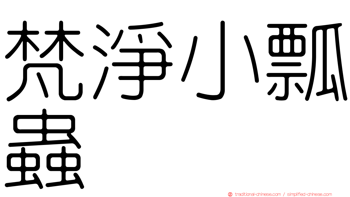 梵淨小瓢蟲