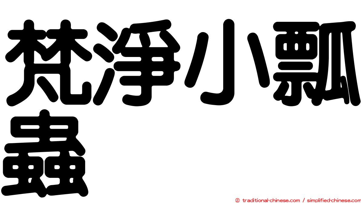 梵淨小瓢蟲