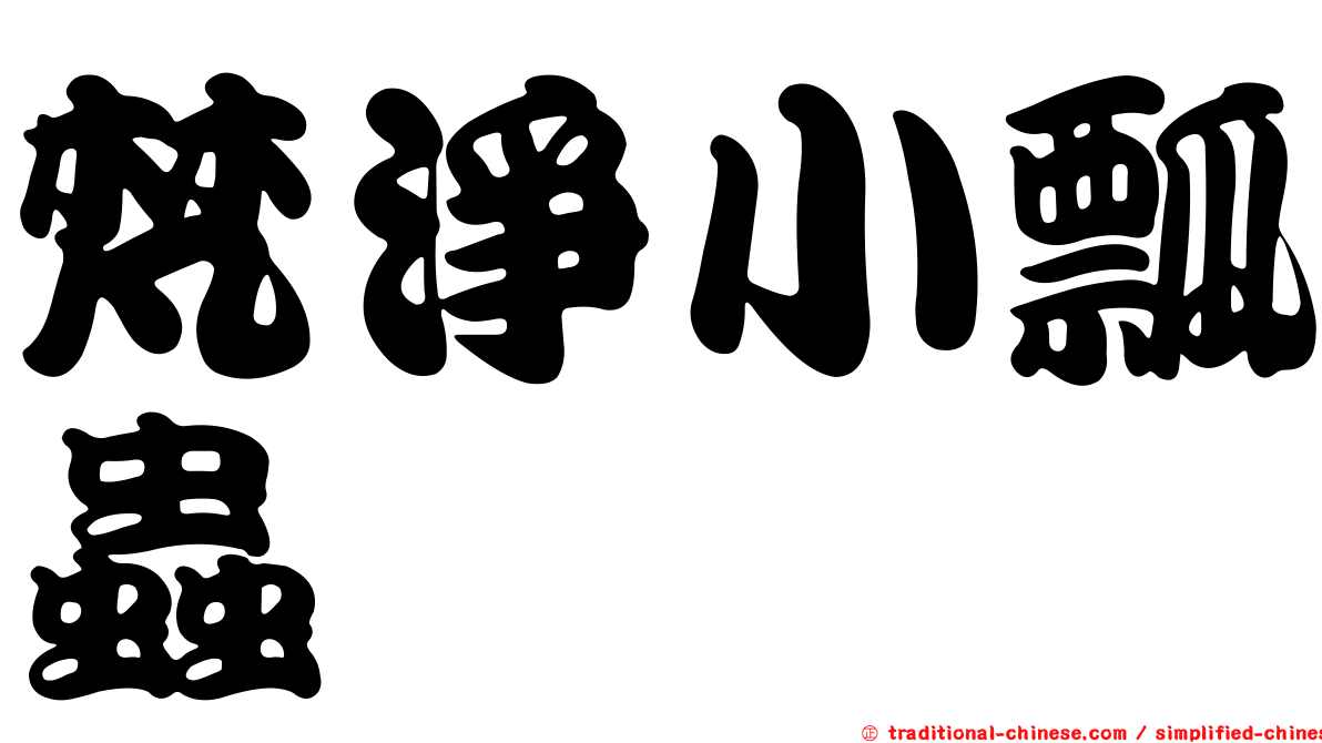 梵淨小瓢蟲