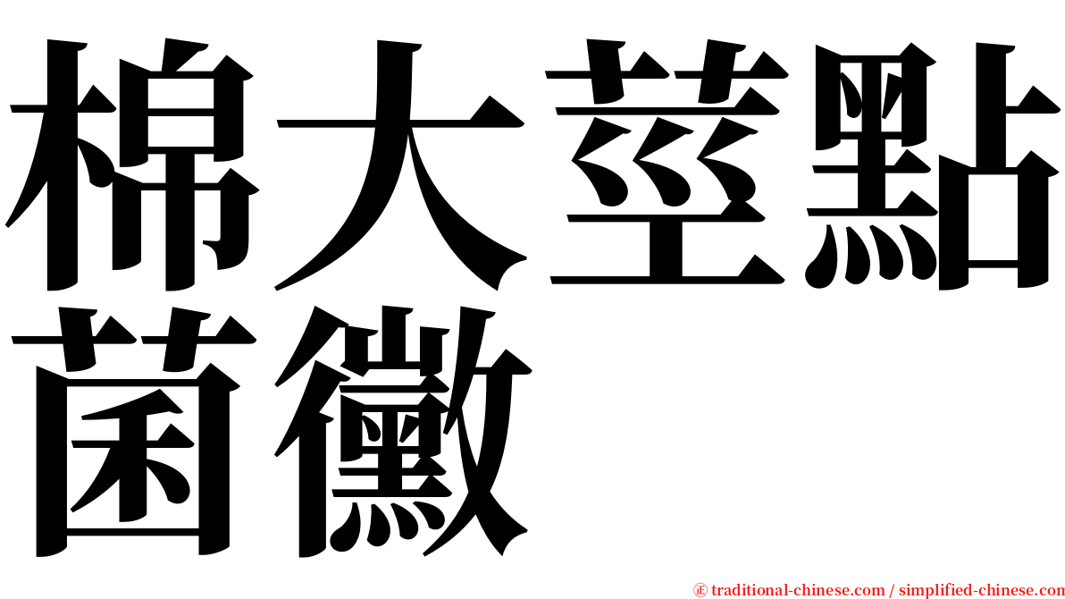 棉大莖點菌黴 serif font