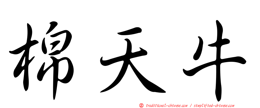 棉天牛