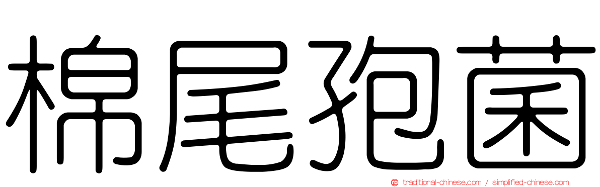 棉尾孢菌