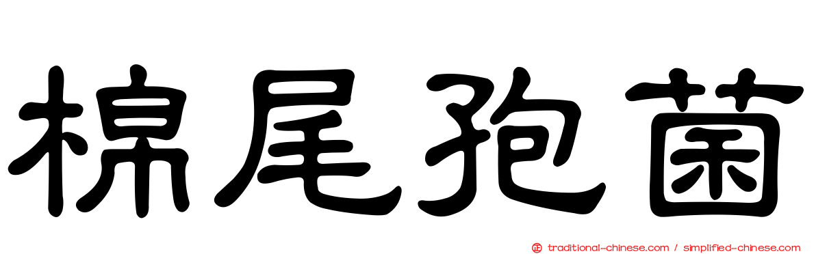 棉尾孢菌