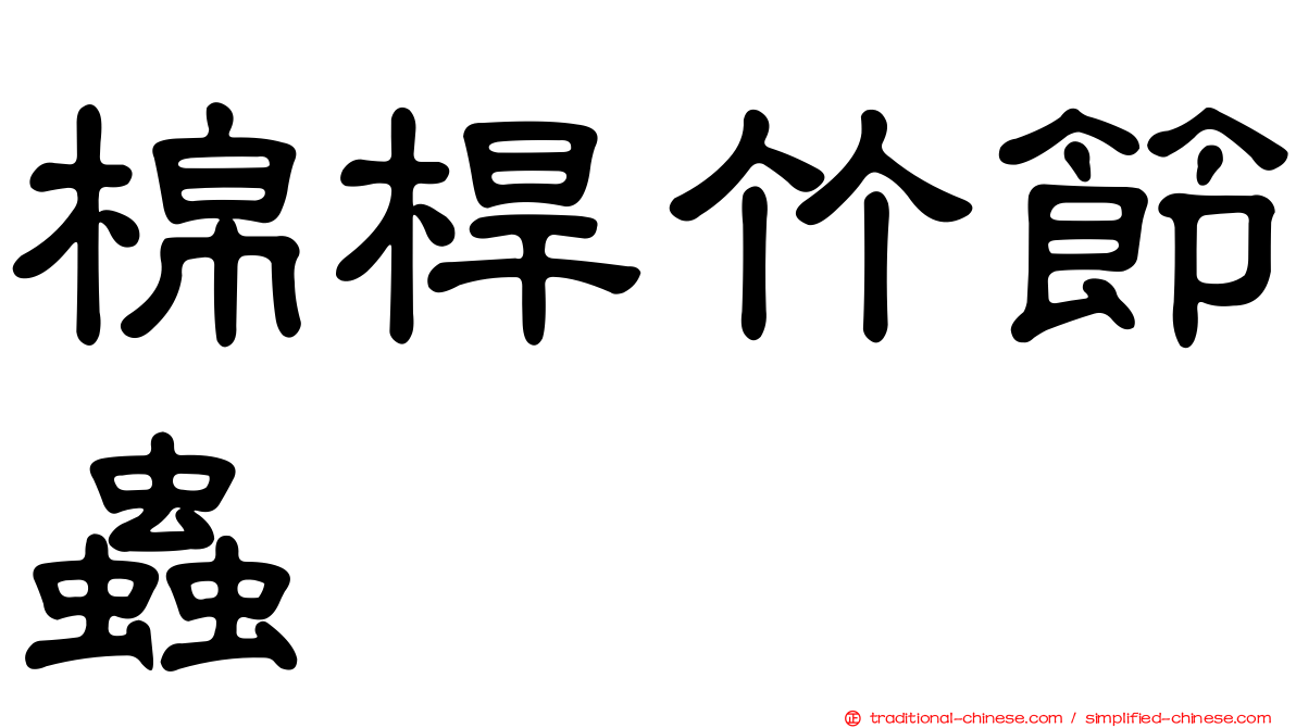 棉桿竹節蟲