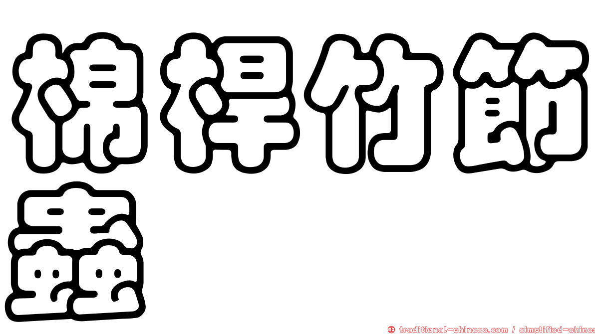 棉桿竹節蟲