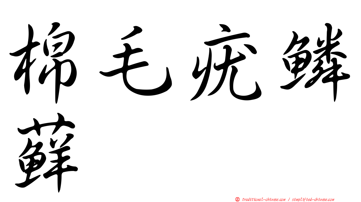 棉毛疣鱗蘚