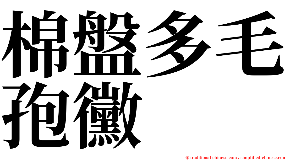 棉盤多毛孢黴 serif font