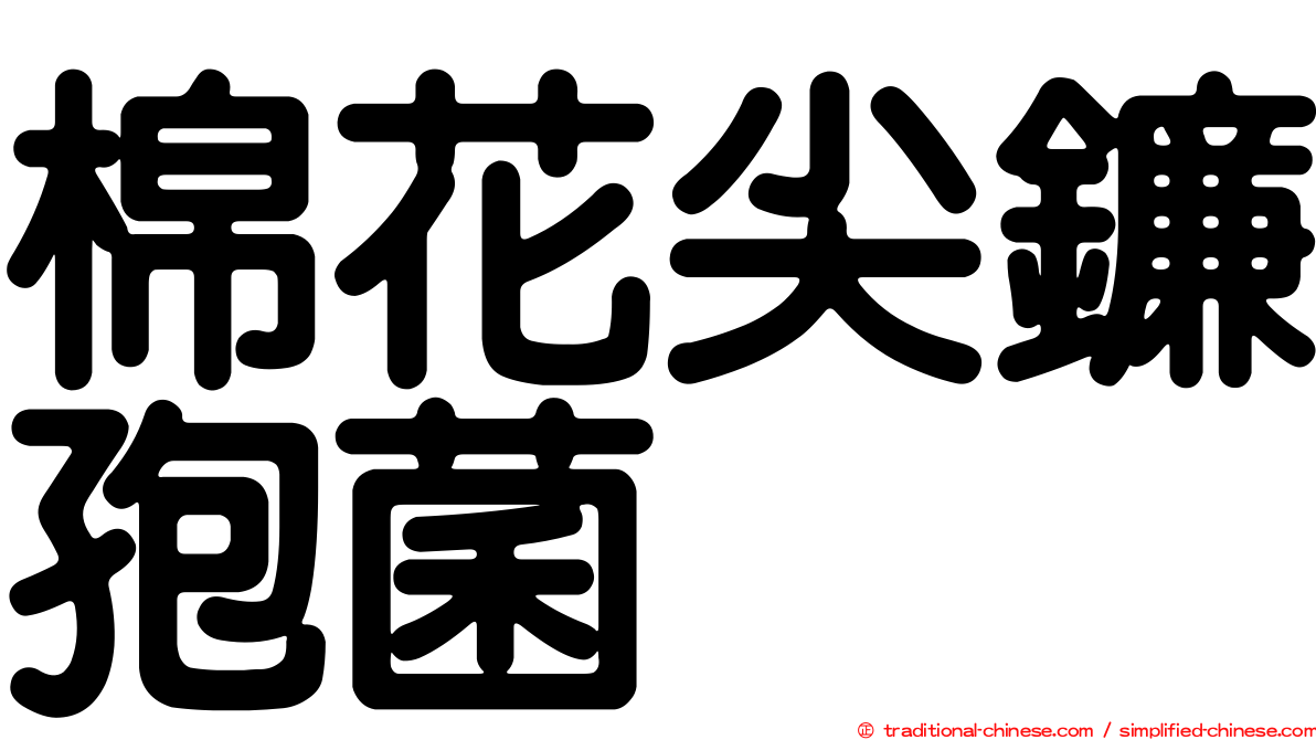 棉花尖鐮孢菌