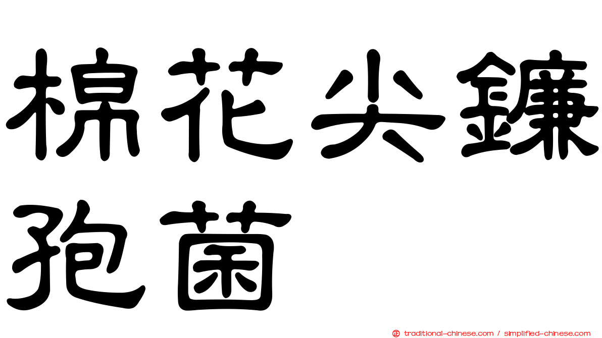 棉花尖鐮孢菌