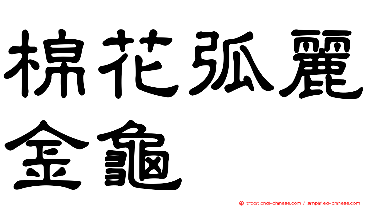 棉花弧麗金龜