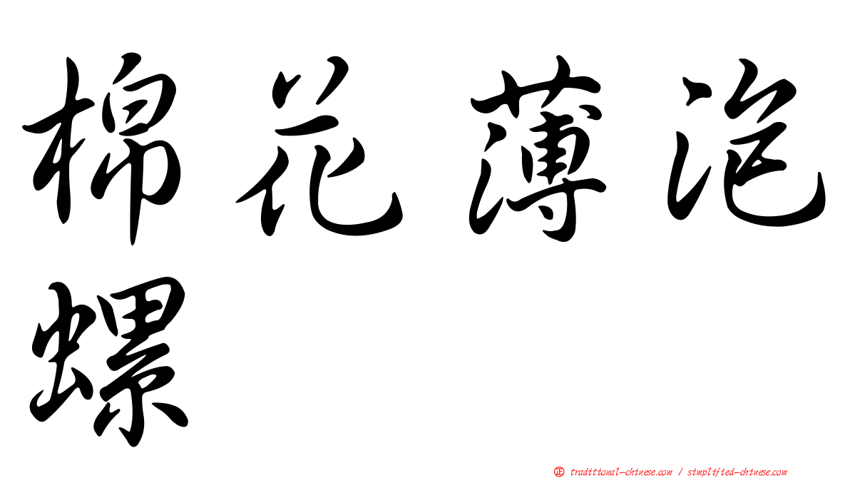 棉花薄泡螺