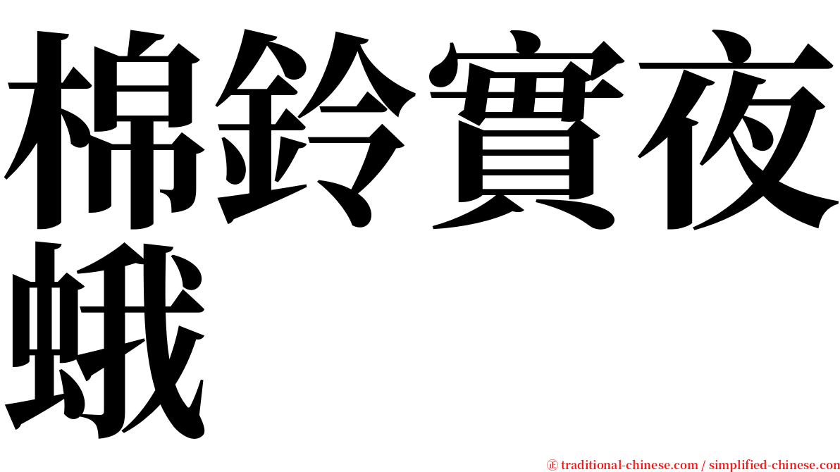 棉鈴實夜蛾 serif font