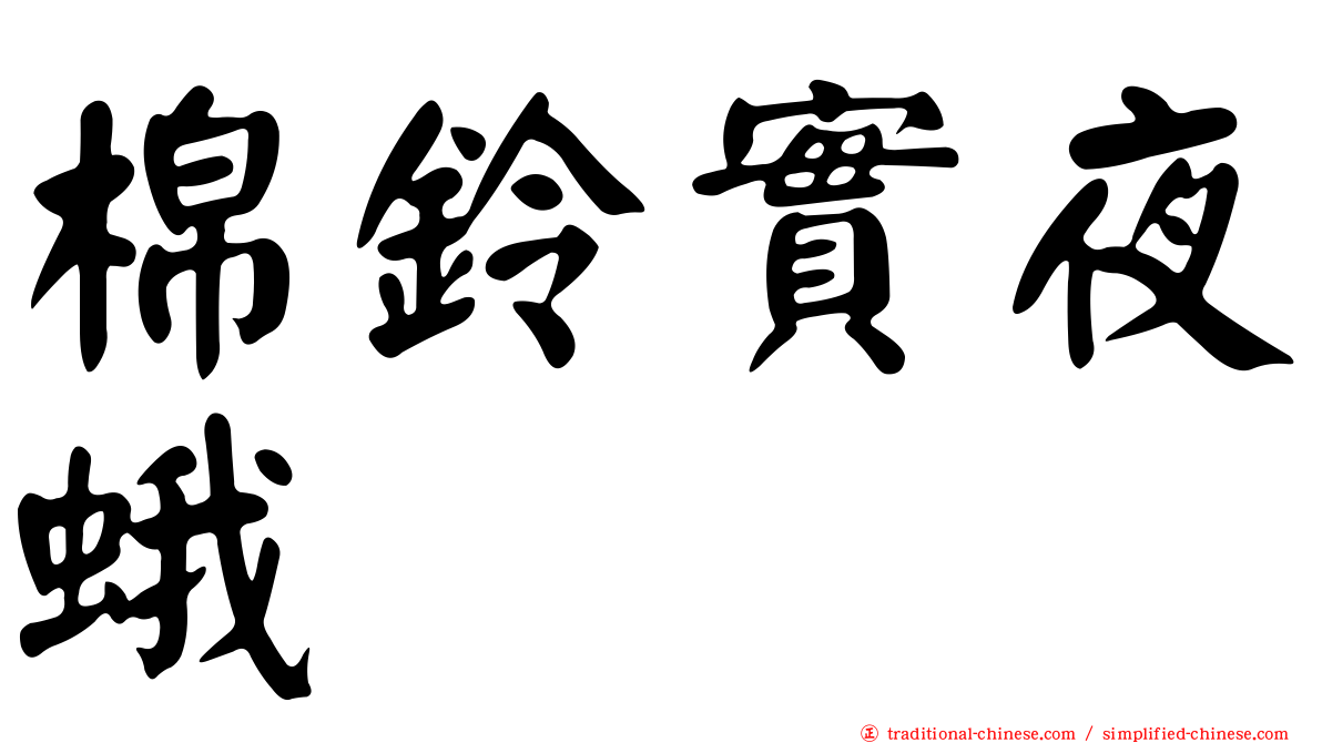 棉鈴實夜蛾