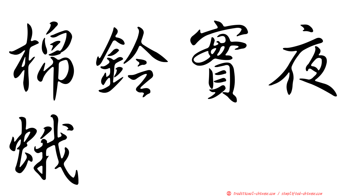 棉鈴實夜蛾
