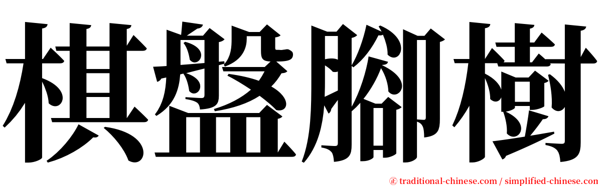 棋盤腳樹 serif font