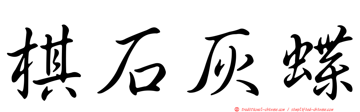 棋石灰蝶