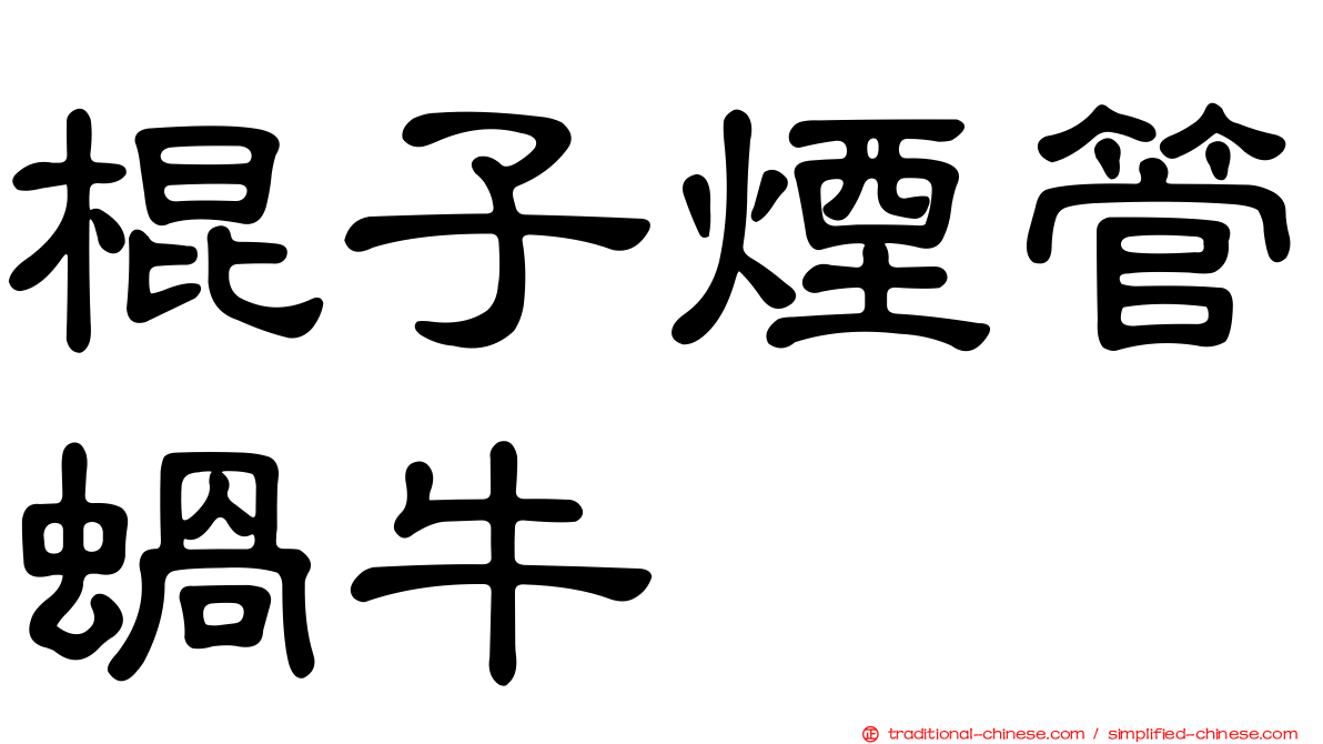 棍子煙管蝸牛