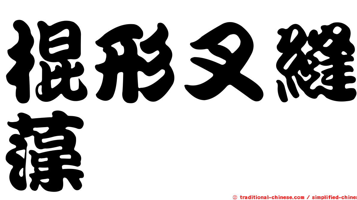 棍形叉縫藻
