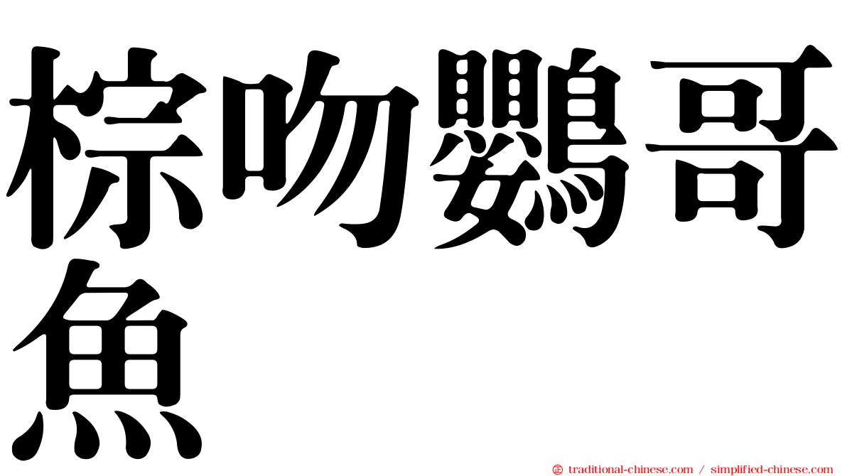 棕吻鸚哥魚