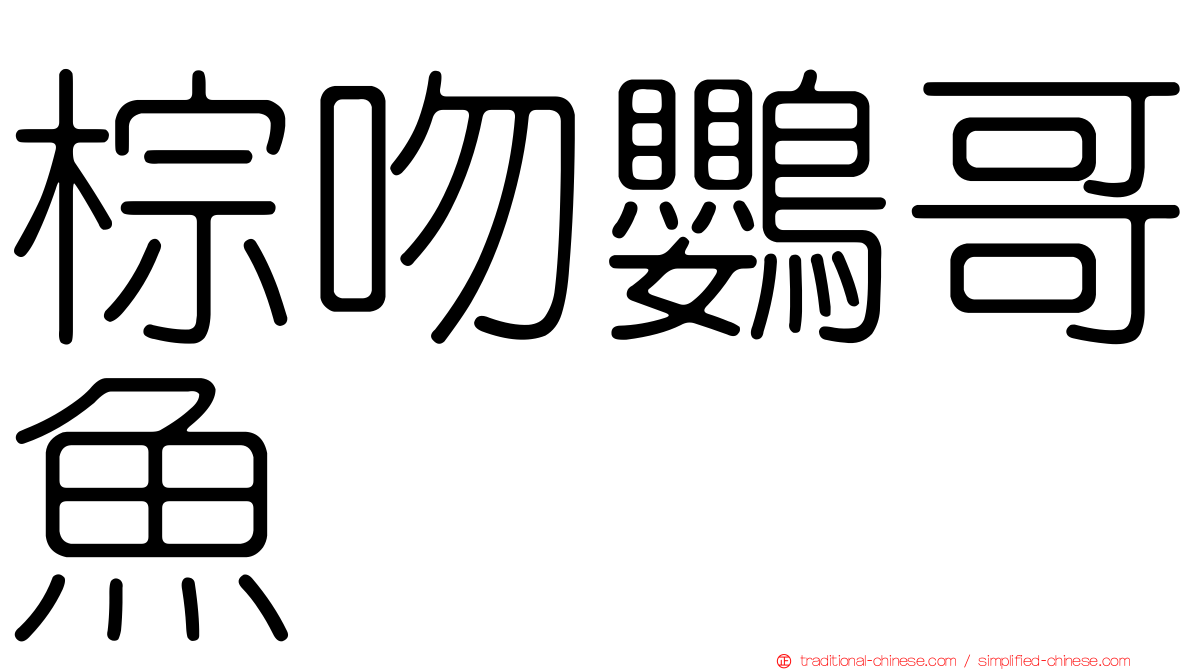 棕吻鸚哥魚