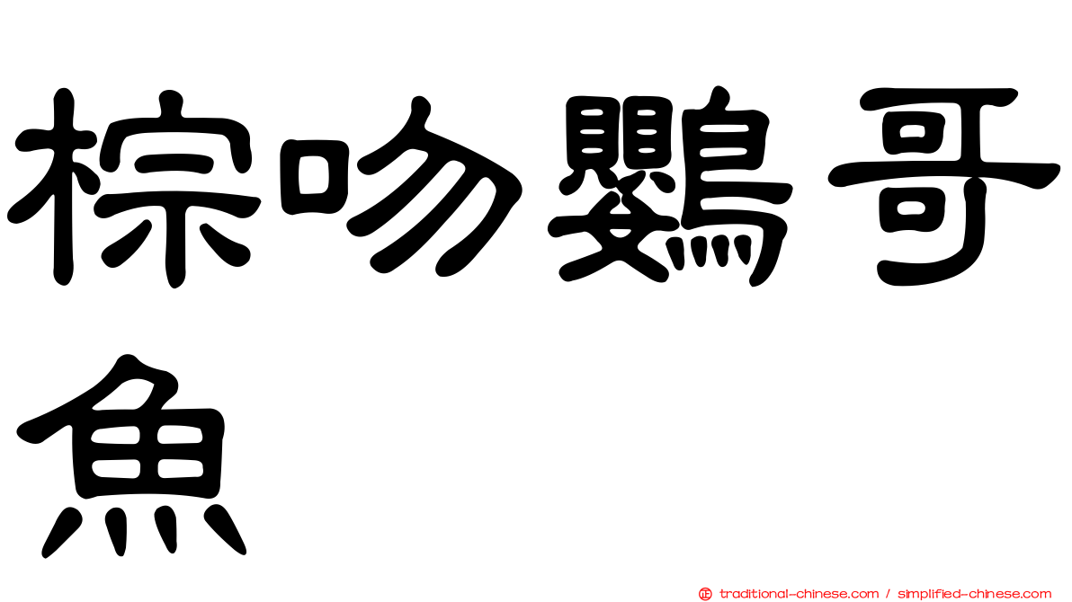 棕吻鸚哥魚