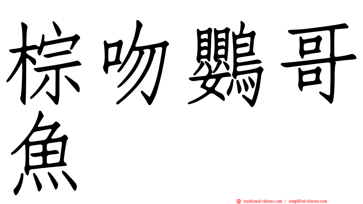 棕吻鸚哥魚