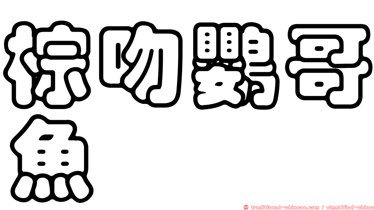 棕吻鸚哥魚
