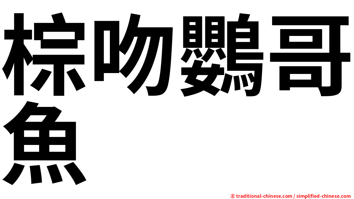 棕吻鸚哥魚