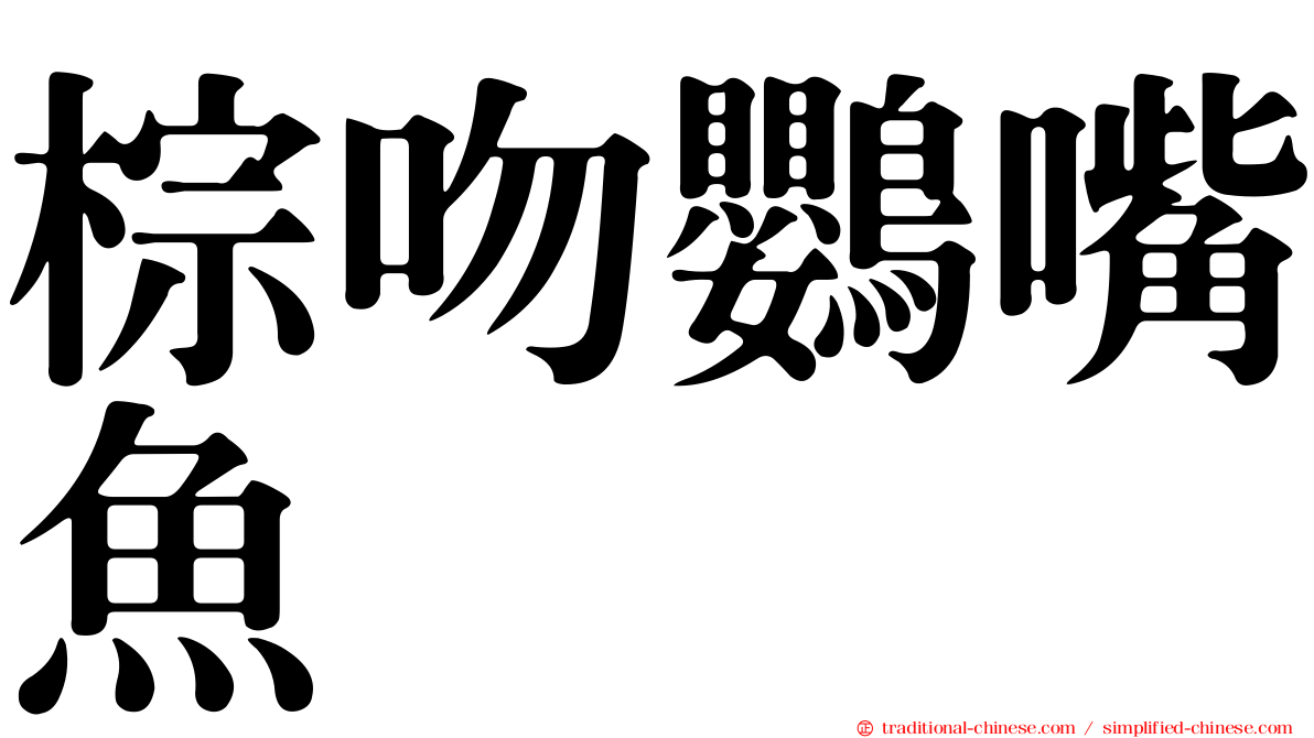 棕吻鸚嘴魚
