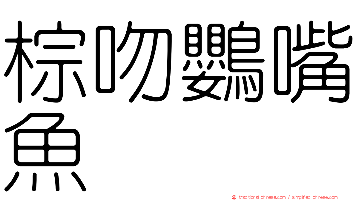 棕吻鸚嘴魚