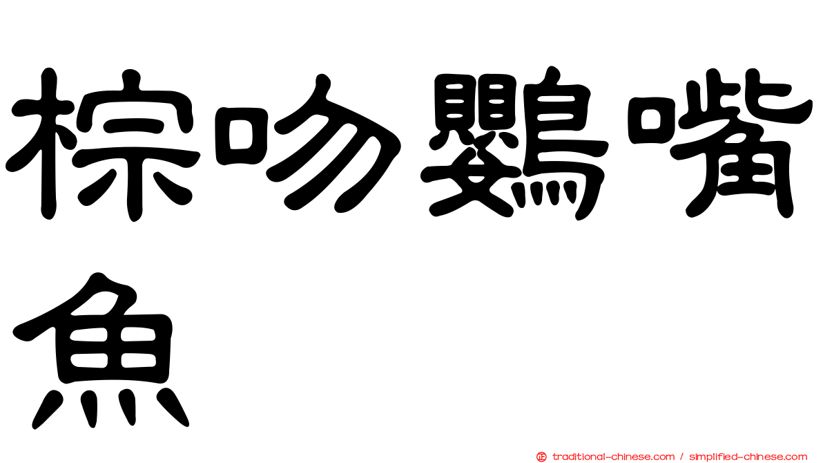 棕吻鸚嘴魚