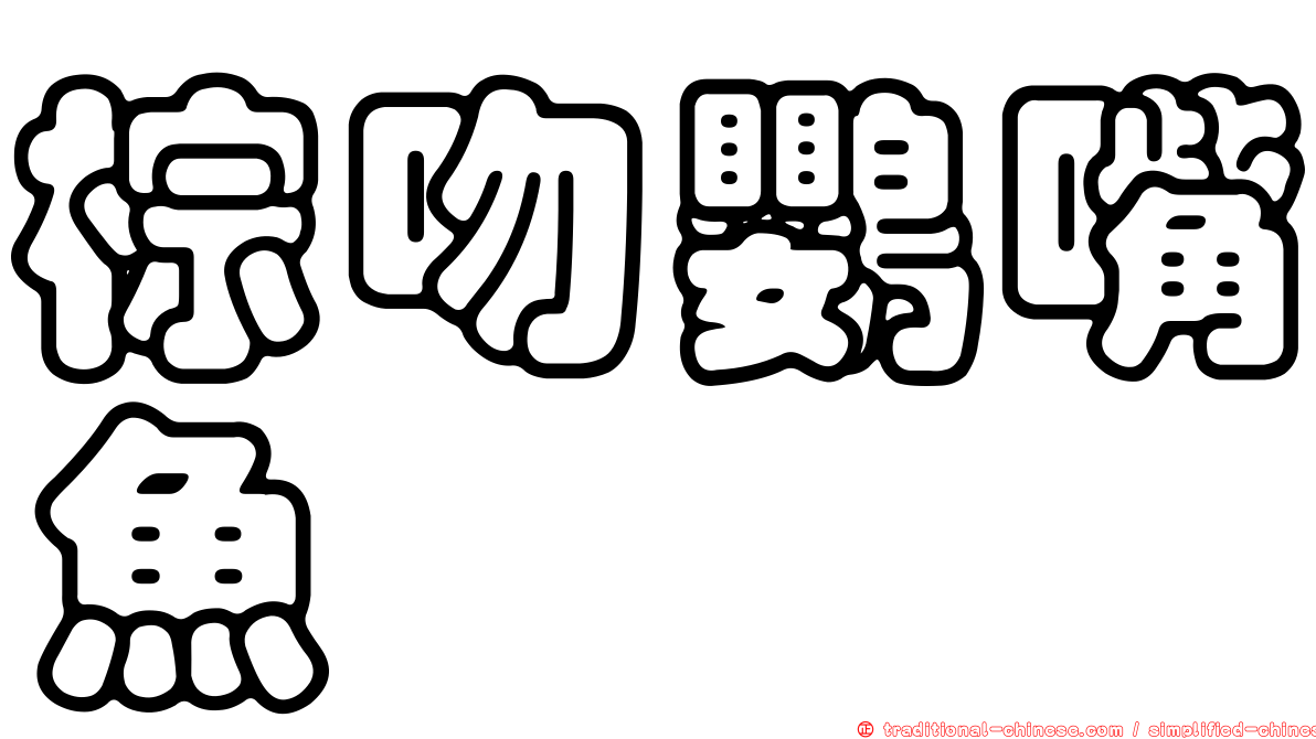 棕吻鸚嘴魚