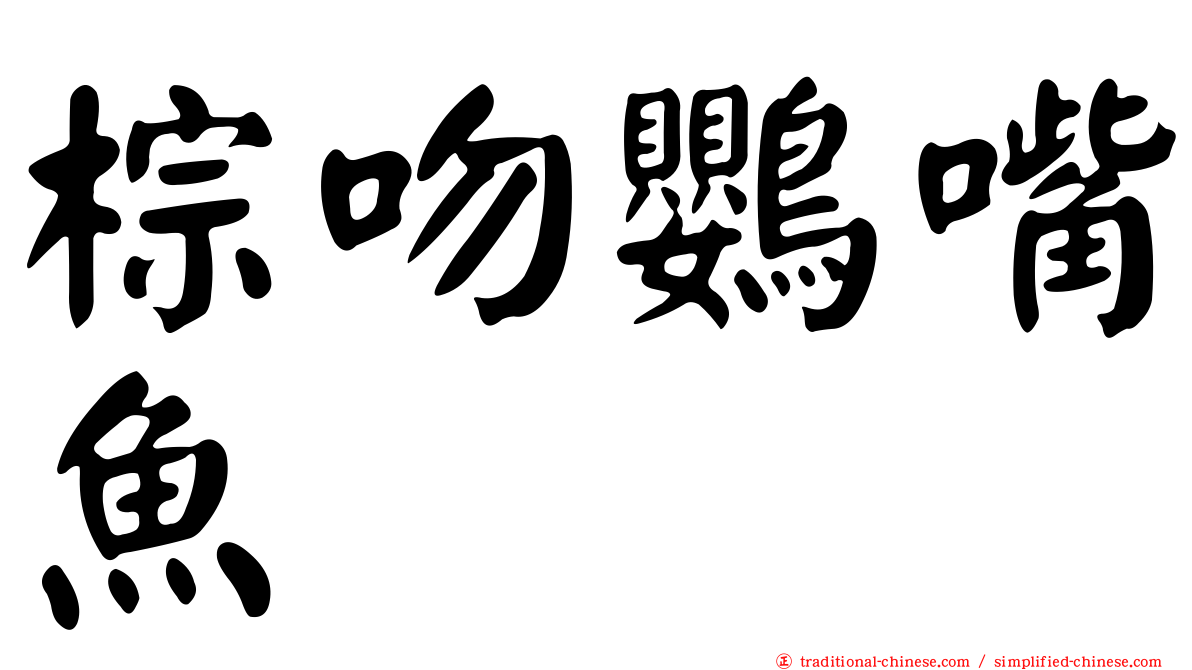 棕吻鸚嘴魚