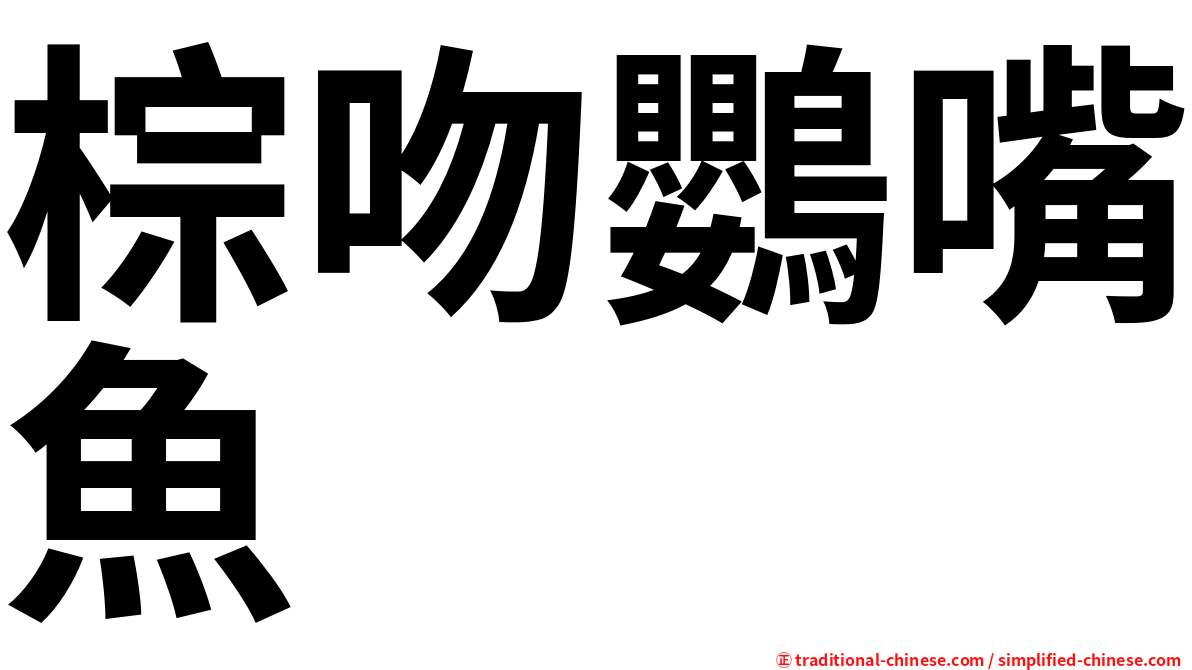棕吻鸚嘴魚