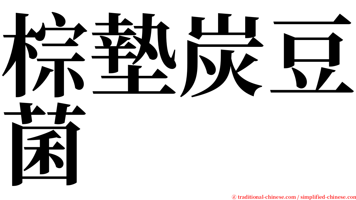 棕墊炭豆菌 serif font