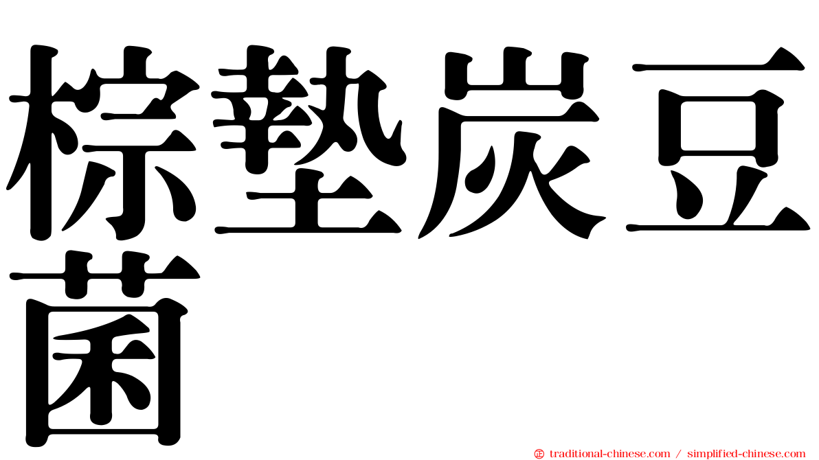 棕墊炭豆菌