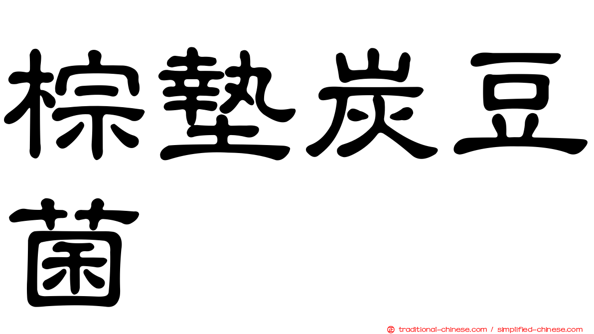 棕墊炭豆菌