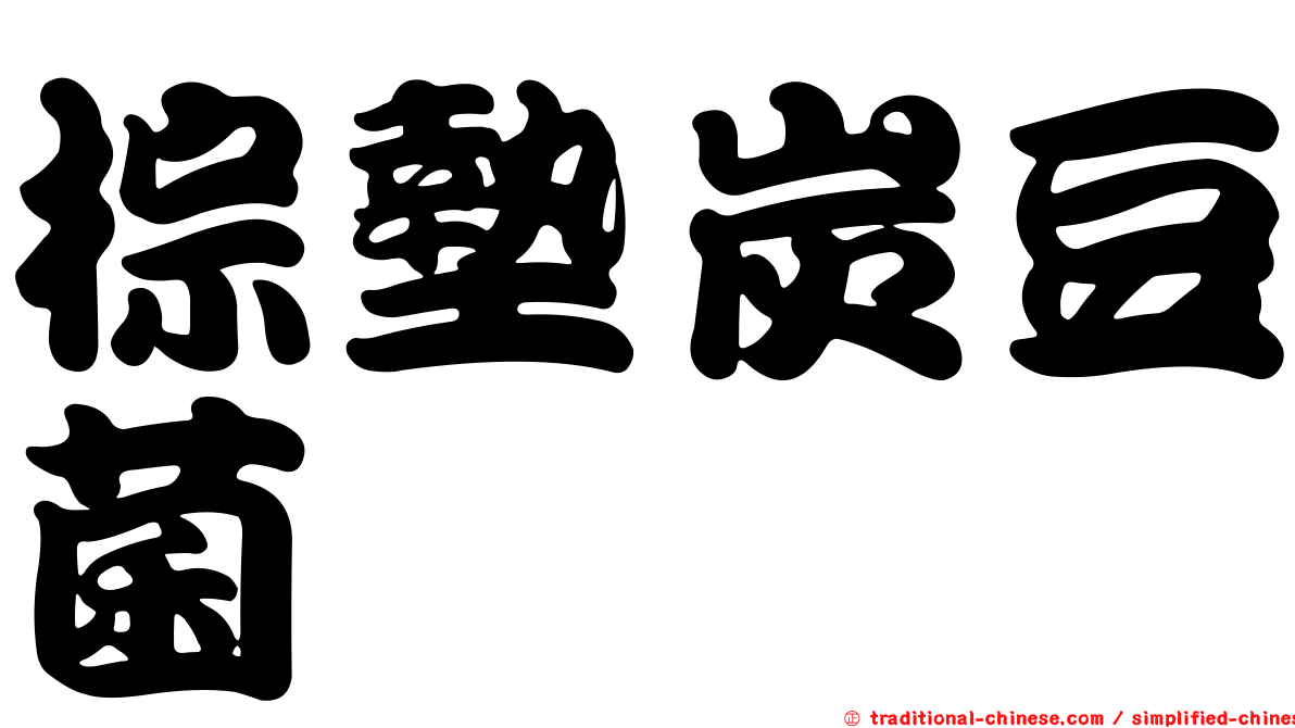 棕墊炭豆菌