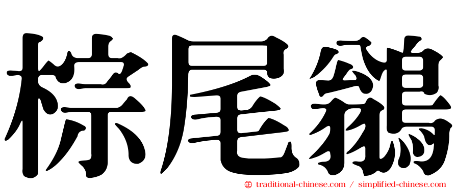 棕尾鶲