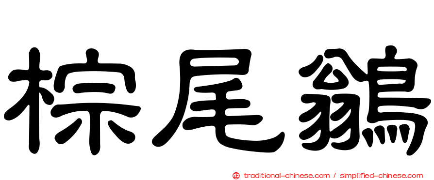 棕尾鶲