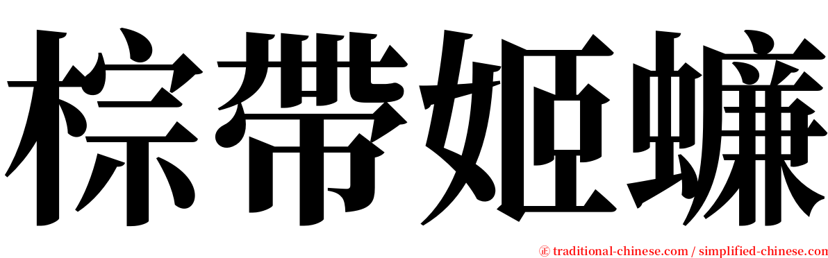 棕帶姬蠊 serif font