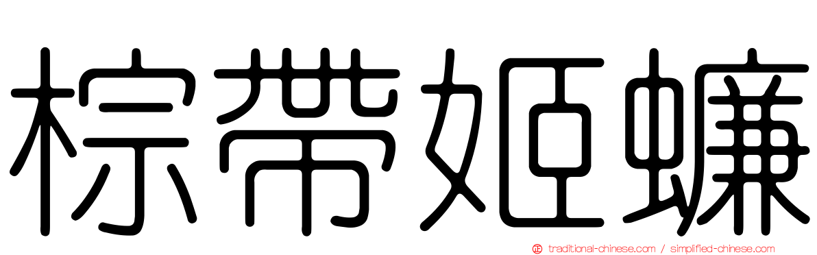 棕帶姬蠊