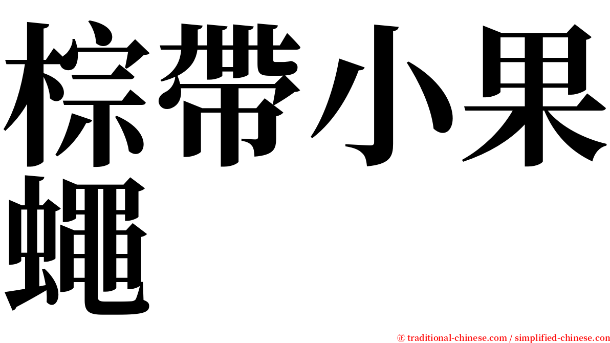 棕帶小果蠅 serif font