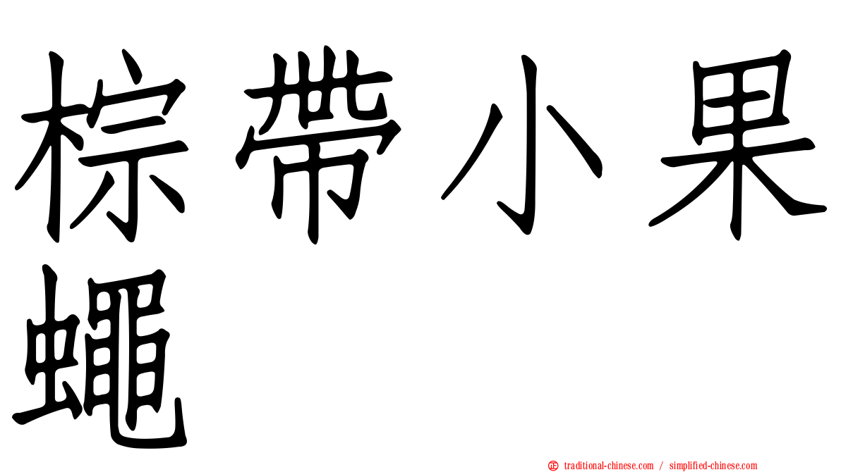 棕帶小果蠅